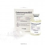 Galactomyces 83.5 Booster Ampoule 33ml - ампульный бустер с